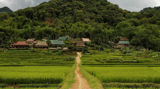 Pu Luong Nature Reserve - Ninh Binh 4 days
