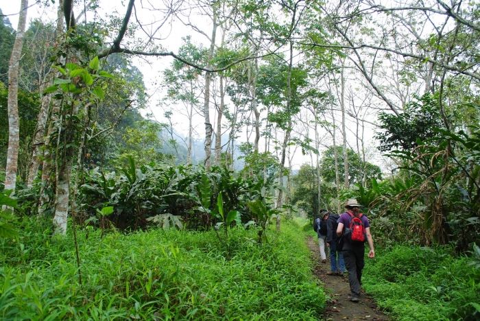Ninh Binh - Cuc Phuong National Park 2 Days