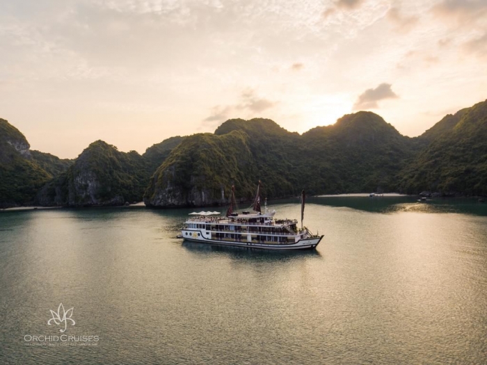 Orchid Cruise